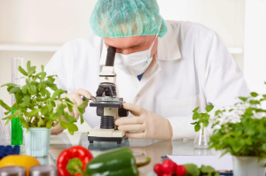 SABORES ARTIFICIALES